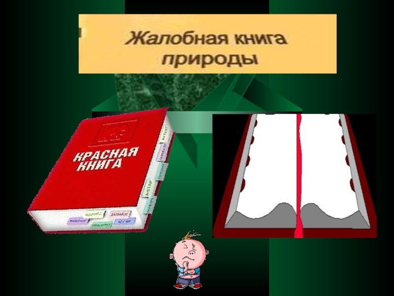 Картинка жалобная книга