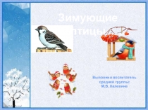 Зимующие птицы