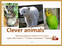 Презентация по английскому языку Clever animals