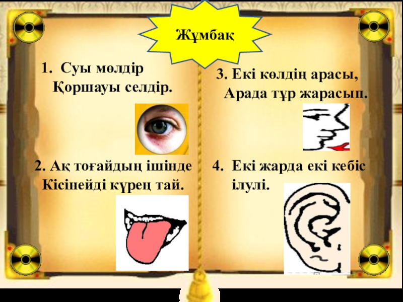 Дене мүшелері суреттер. Жумбак. Сезім мүшелері презентация. Сезим мушелери. Фото дене мүшелері.