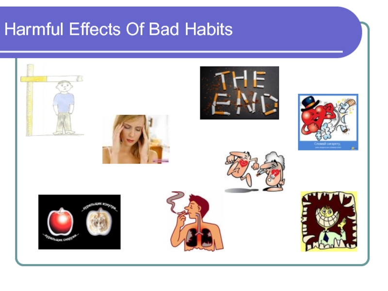 No Bad Habits. Harmful Effects перевод. No Bad Habits белье. No Bad Habits трусы.