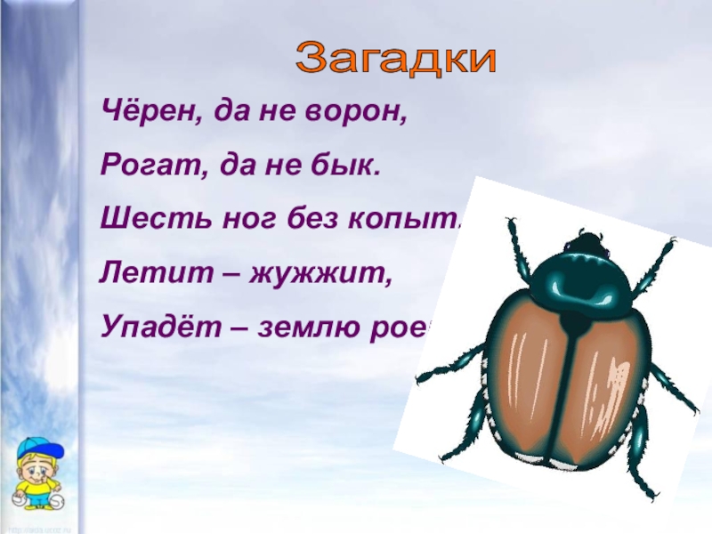 Не жужжу когда хожу. Чёрен да не ворон рогат да не бык шесть ног без копыт. Чёрен да не ворон рогат да не бык шесть. Шесть ног без копыт летит жужжит упадет землю роет. Шесть ног без копыт.