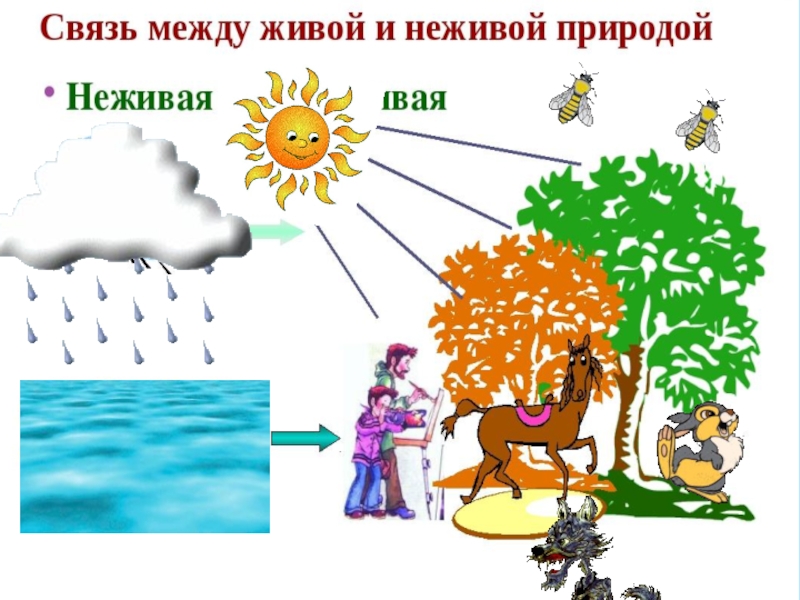 Схемы по окружающему миру 2 класс