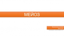 Презентация Деление половых клеток. Мейоз