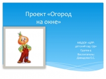 Презентация Огород на окне