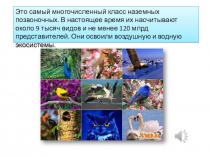 Презентация к уроку по биологии Класс Птицы. Внешнее строение. 7 класс