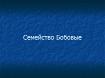 Презентация по биологии Семейство бобовые (многообразие)