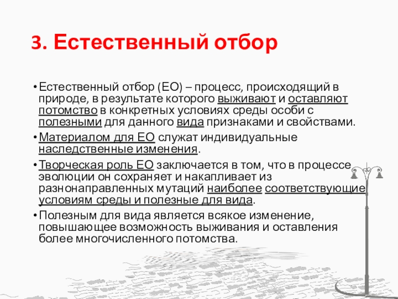 Естественный отбор 3