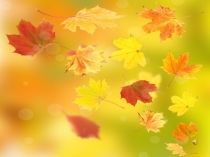 Презентация к внеклассному мероприятию Арбузник