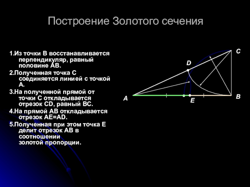 Пропорция и золотое сечение проект 6 класс