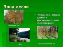 Презентация по географии на тему Разнообразие лесов России.
