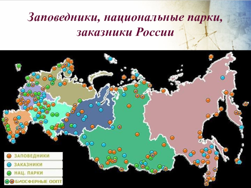 Карта охраняемых зон россии