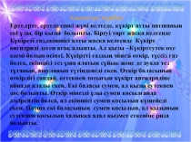 Күкірт қышқылы (9 сынып)