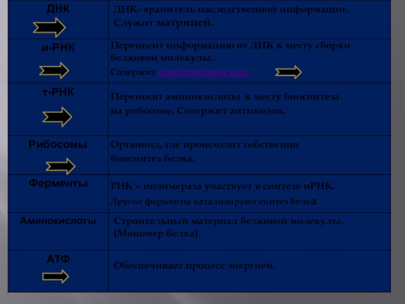 ДНК- хранитель наследственной информации. Служит матрицей.Переносит информацию от ДНК к месту сборки белковой молекулы. Содержит генетический код.Переносят