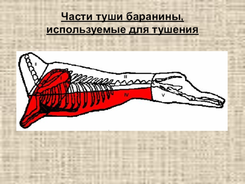 Части баранины. Части баранины для тушения. Части бараньей туши. Части туши баранины. Часть туши баранины используются для.