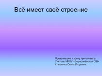 Презентация к уроку по ИЗО на тему  Всё имеет своё строение