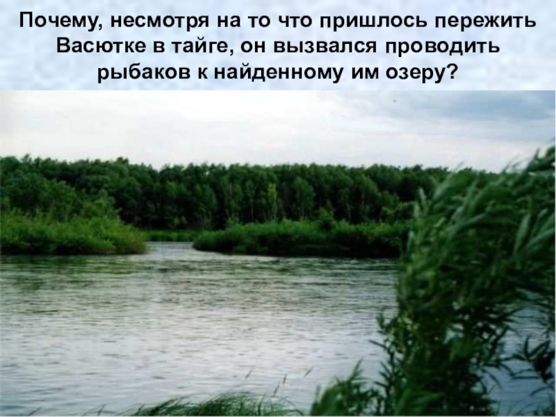 Почему несмотря на. Почему несмотря р. Какие события произошли с мальчиком в тайге что пришлось ему пережить.