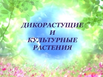 Дикорастущие и культурные растения