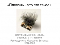 Презентация Плесень – что это такое Работа Бурмакиной Ирины, Ученицы 2 А класса Руководитель Морозова Зинаида Петровна