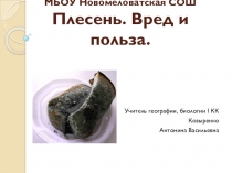 Презентация Плесень. Вред и польза по биологии 5 класс