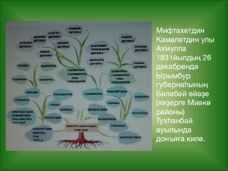 Мифтахетдин акмулла презентация