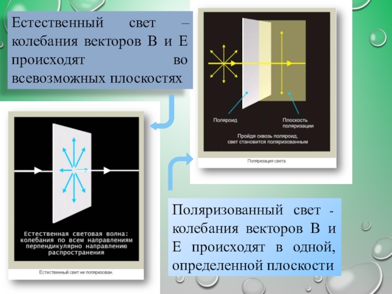 Плоскость колебаний электромагнитной волны. Плоскость колебаний и плоскость поляризации. Плоскость колебаний и плоскость поляризации света. Колебания света. Плоскость поляризации поляризованного света это.