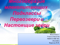 Презентация по биологии на тему Многообразие млекопитающих