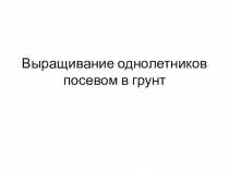 Презентация по сельскохозяйственному труду на тему Выращивание однолетников посевом в открытый грунт (5 класс)