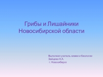 Презентация по Живой природе НСО на тему Грибы, Лишайники НСО, 7 класс