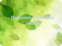 Презентация по биологии на тему Внешнее строение листа