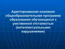 Адаптированная основная общеобразовательная программа образования обучающихся с умственной отсталостью (интеллектуальными нарушениями)