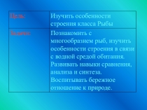 Презентация по биологии на тему: Класс рыб
