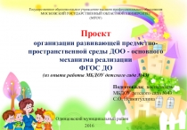 Проект организации развивающей предметно-пространственной среды ДОО - основного механизма реализации ФГОС ДО