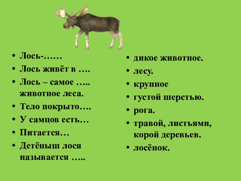 Лось жив. Детеныш лося. Детёныш лося как называется. Назови детёнышей. Лось, лосиха. Как называется детеныш лося и лосихи.