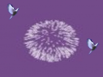 Презентация внеклассного мероприятия по математике на тему: Закрытие недели математики