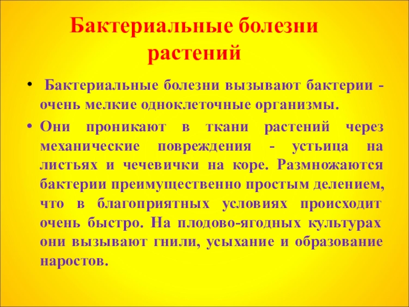 Заболевания растений вызванные грибами и бактериями. Бактериальные болезни растений. Бактериальные заболевания растений. Болезни растений вызываемые бактериями. Заболевания растений из-за бактерий.