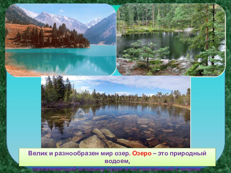 Растительное сообщество озеро. Сообщество озеро. Природное сообщество озеро. Сообщество озеро окружающий мир. Озëра и реки это природные сообщества.