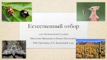 Презентация по биологии на тему Естественный отбор