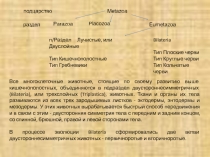 Презентация по зоологии беспозвоночных животных Плоские черви