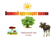 Презентация по Окружающему миру: Великий круговорот жизни
