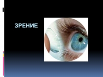 Презентация по теме Обман зрения. Иллюзия