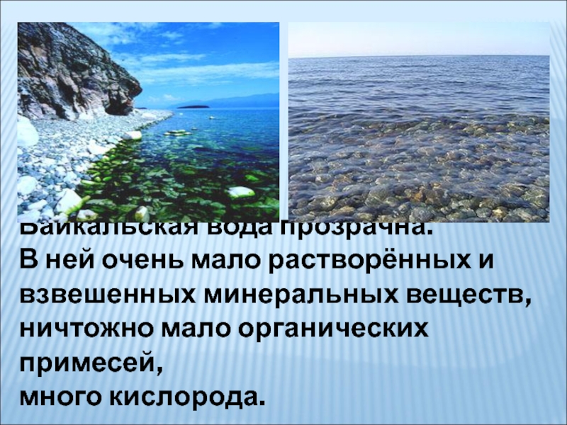 Байкальская вода прозрачна.В ней очень мало растворённых и взвешенных минеральных веществ, ничтожно мало органических примесей, много кислорода.