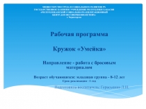 Презентация к рабочей программе кружка Умейка