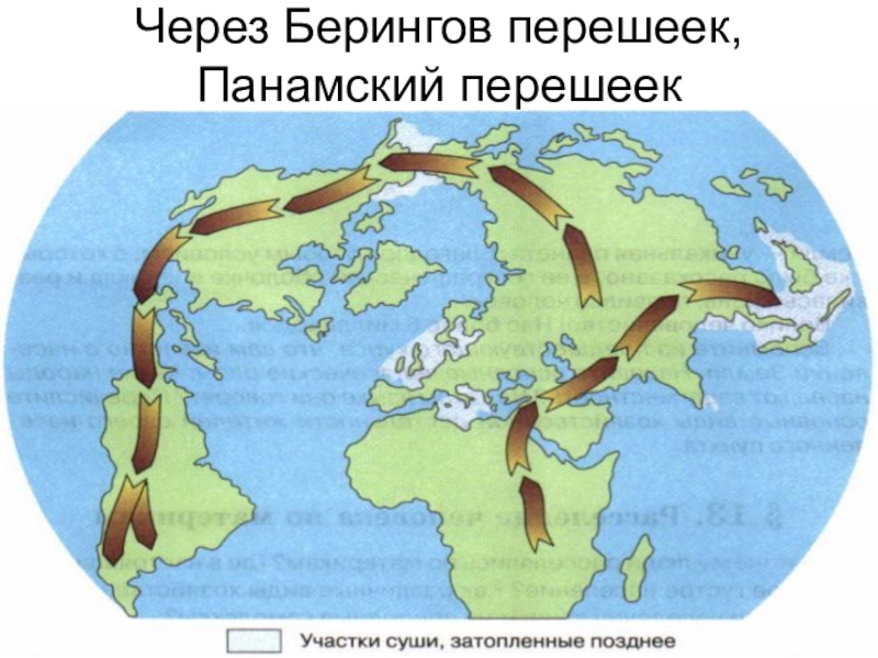 Презентация по географии 5 класс как люди заселяли землю полярная звезда