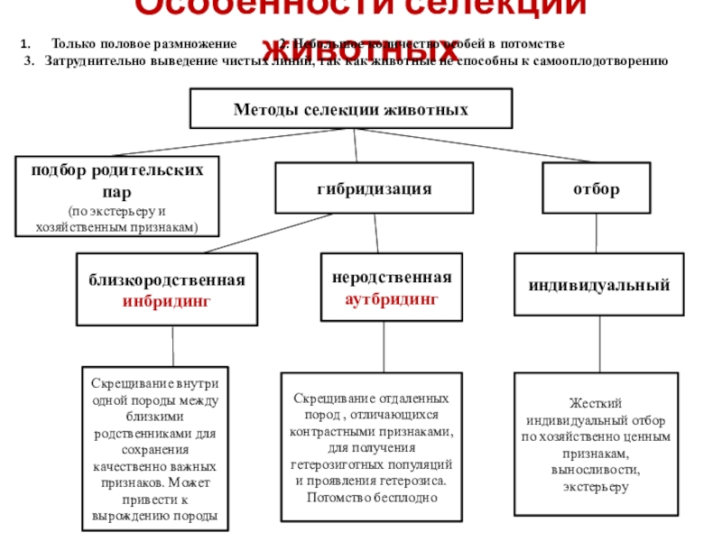 Методы селекции презентация биология 9 класс - 98 фото