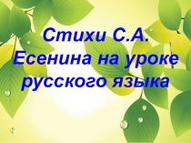 Презентация к уроку русского языка для 5-7 класса Поэзия С.Есенина на уроках русского языка