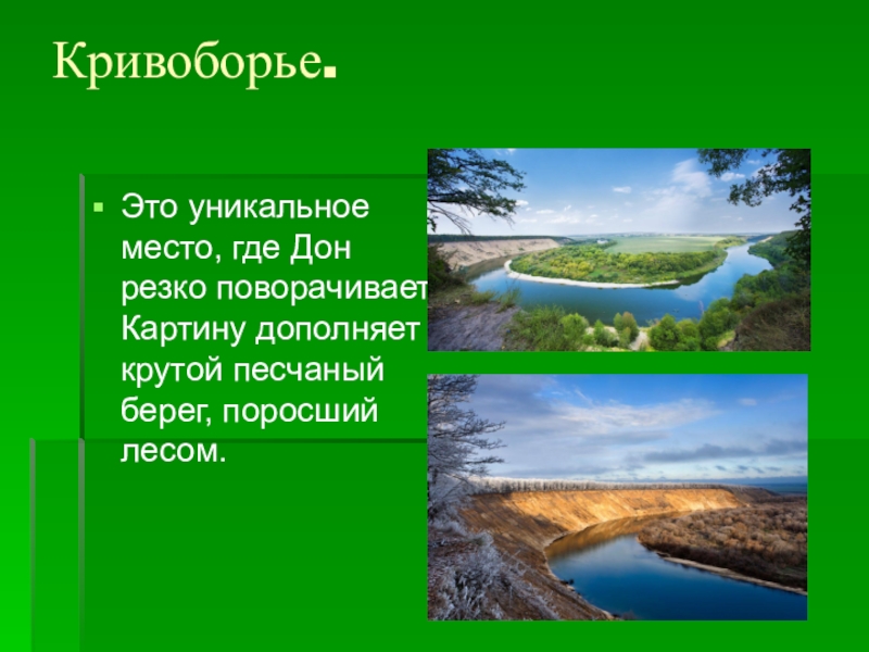 Разнообразие природы родного края 3 класс проект по окружающему миру воронежская область