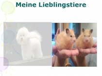 Презентация к уроку немецкого языка по теме Мои любимые животные, 4 класс