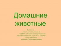 Презентация Домашние животные по предмету Развитие устной речи на основе изучения предметов и явлений окружающей действительности для 1-2 класса