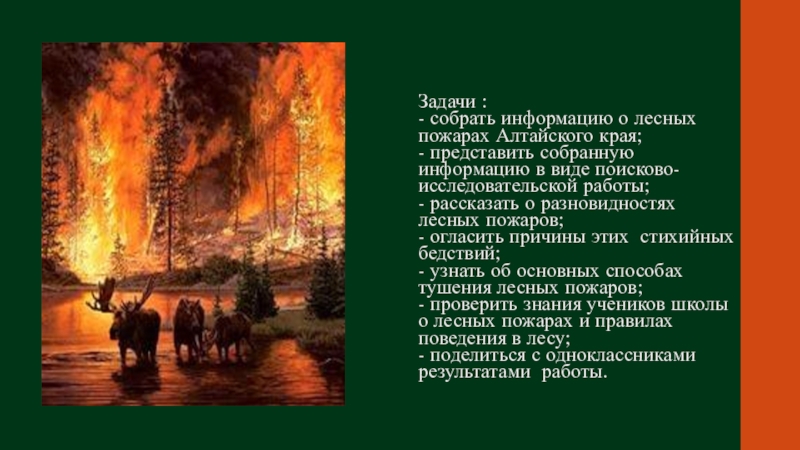 Лесной пожар задачи. Лесные пожары вывод. Заключение Лесные пожары. Вывод по лесным пожарам. Вывод по теме Лесные пожары.